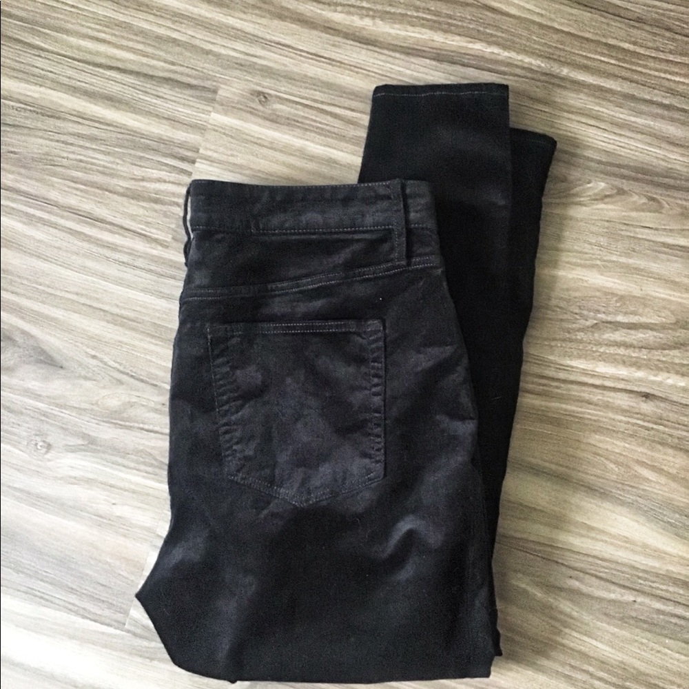 Loft Plus Velvet Black Skinny Fit Pants